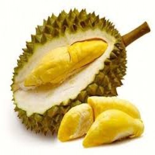 Malaysian Durian Fruit | Products | B Bazar | A Big Online Market Place and Reseller Platform in Bangladesh